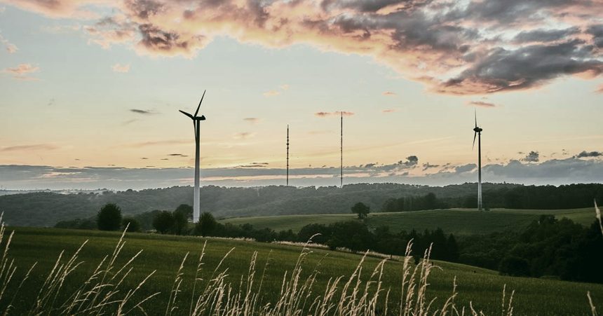 Wind turbines in a field at dawn